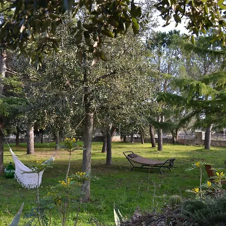 Margherita - Villaggio Di Mary